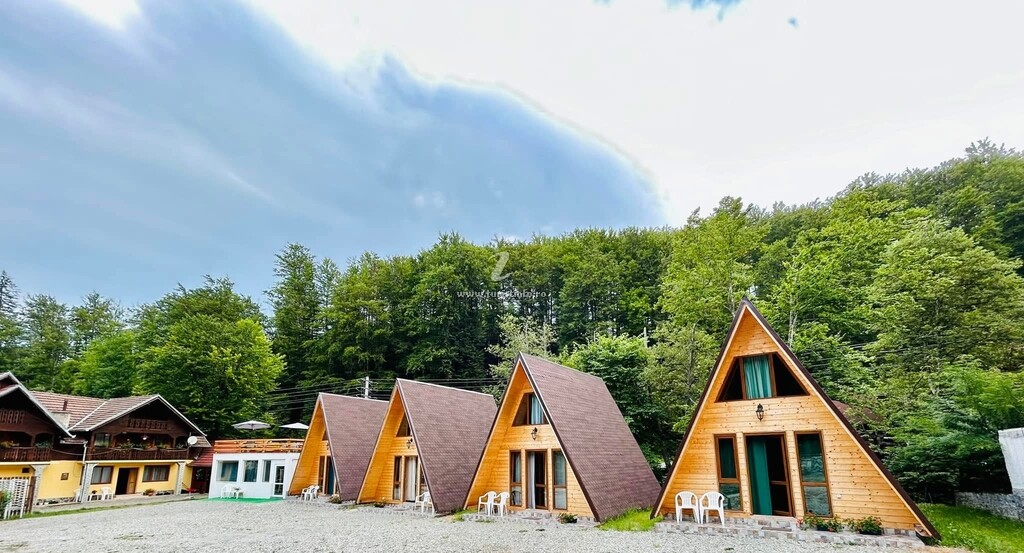 Bungalow Green Forest Transfăgărășan