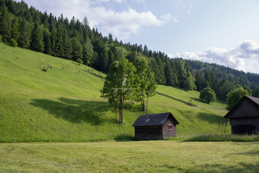 Pensiunea Vânatorul