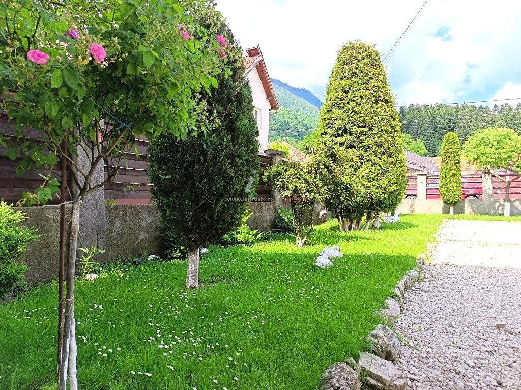 Camere de închiriat Casa Doi Crai