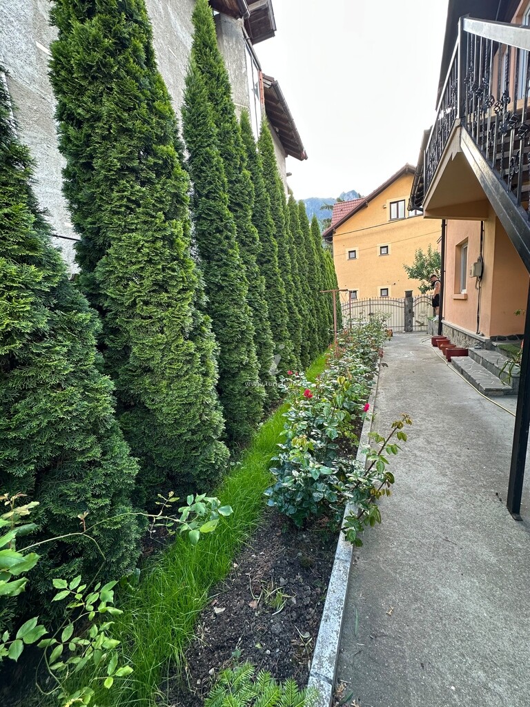 Vila Piatra Arsă
