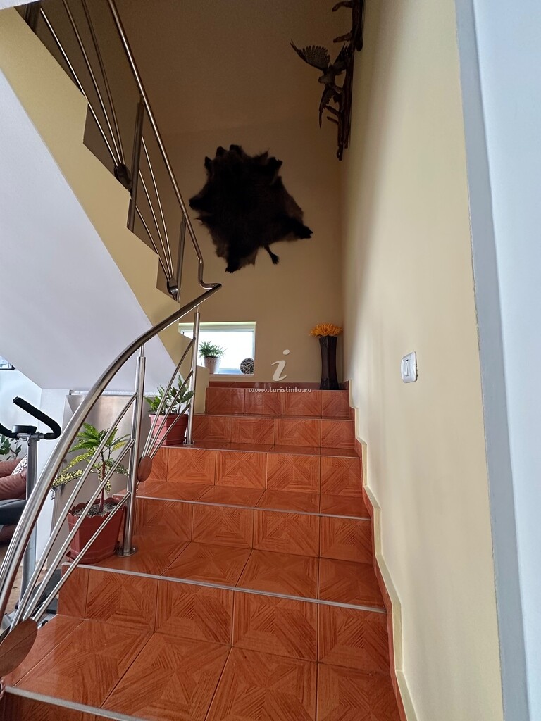 Vila Piatra Arsă