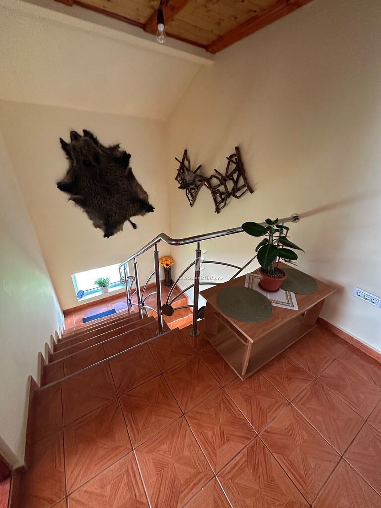 Vila Piatra Arsă