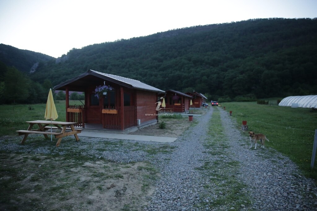 Căsuțele Pădurii