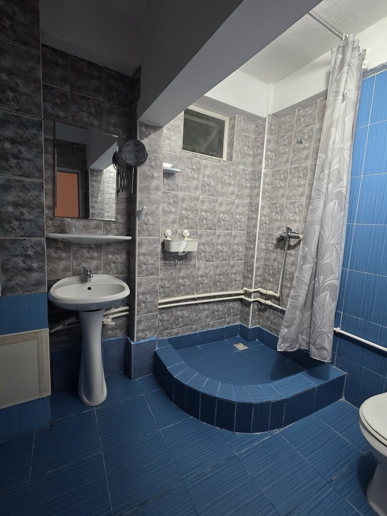 Vila Vlad