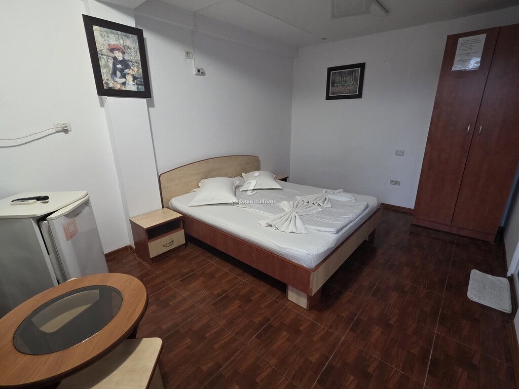 Vila Vlad