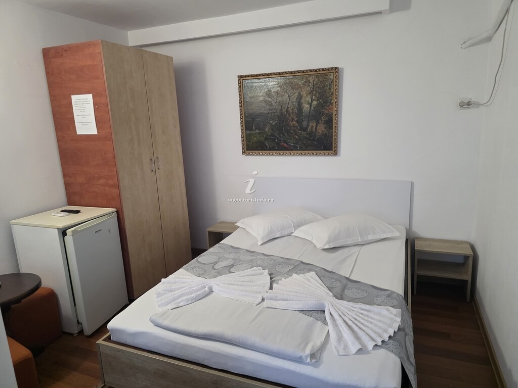 Vila Vlad