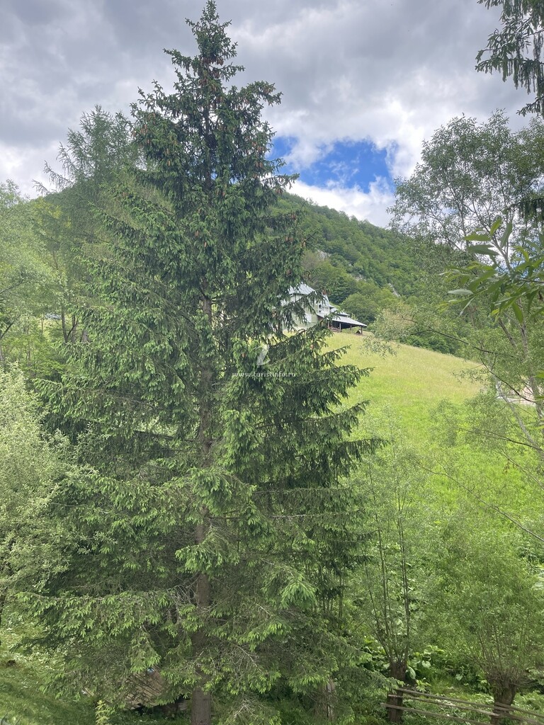 Casa de vacanță Briza Craiului
