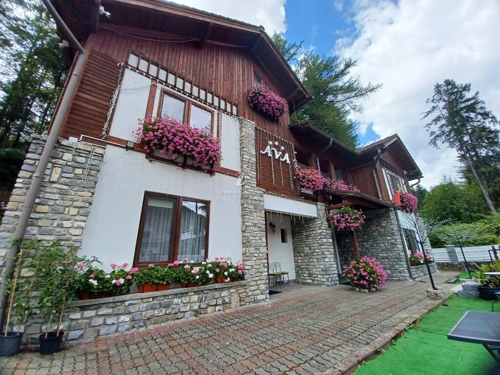 Pensiunea Ava