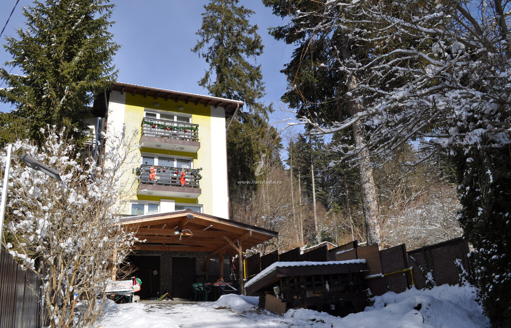 Pensiunea Casa Ana Galben - Alexia