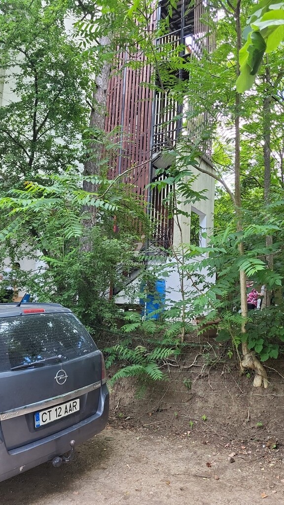 Camere de închiriat Denisa