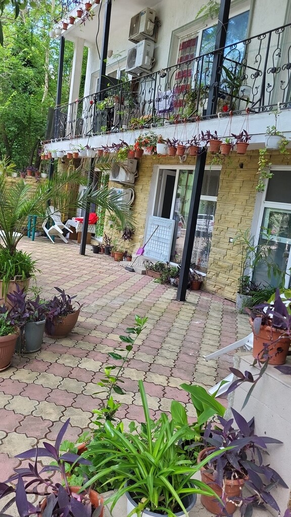 Camere de închiriat Denisa
