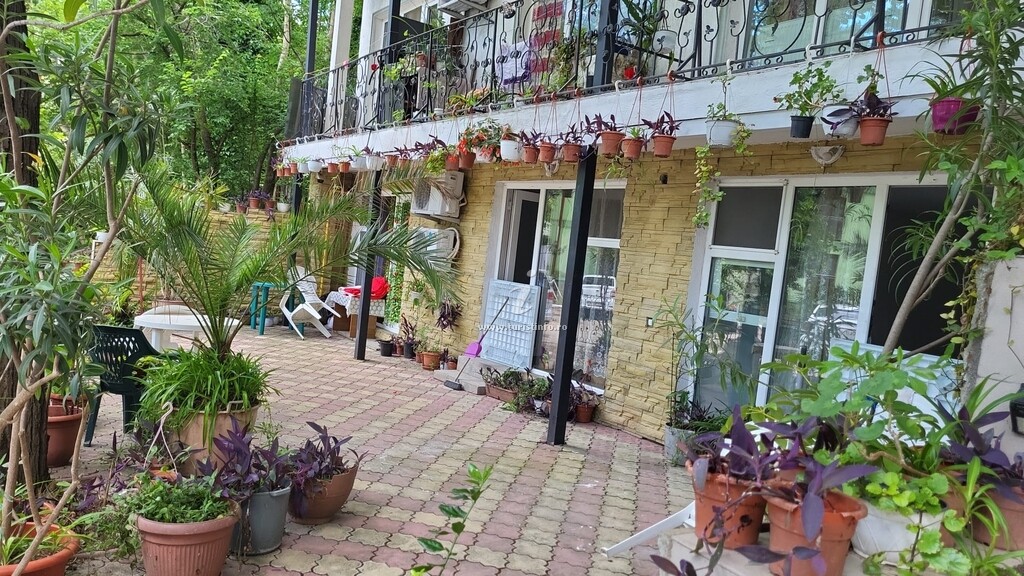 Camere de închiriat Denisa