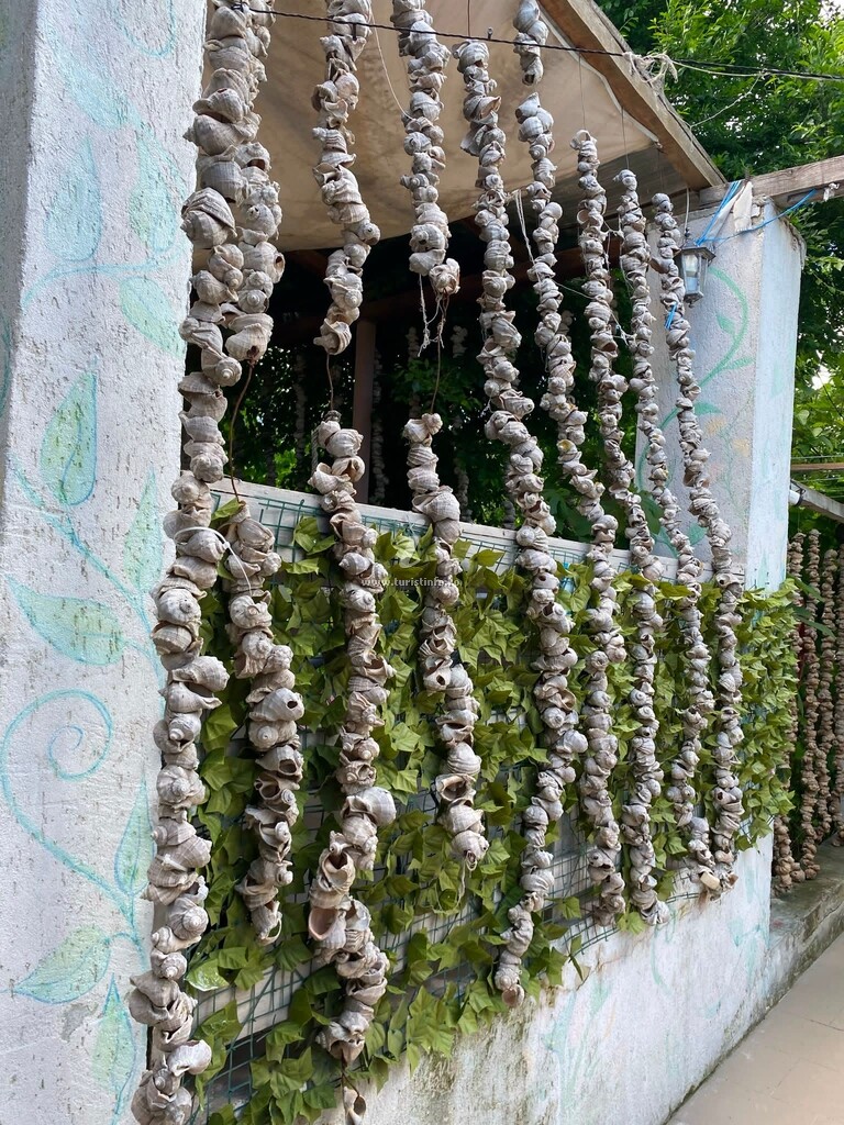 Camere de închiriat Nisip și Stele