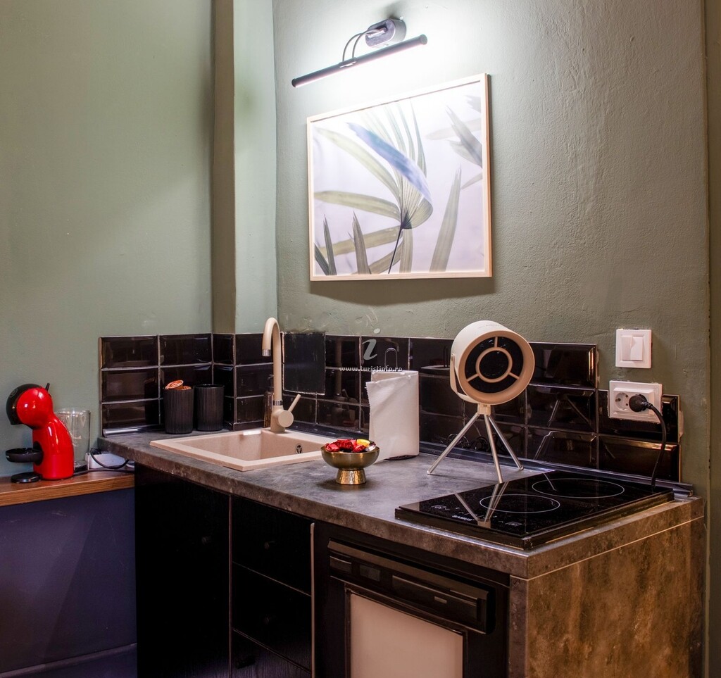 Apartament Olive Central
