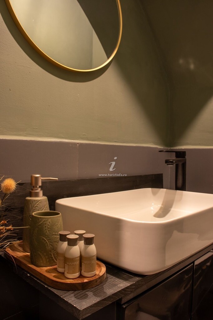 Apartament Olive Central
