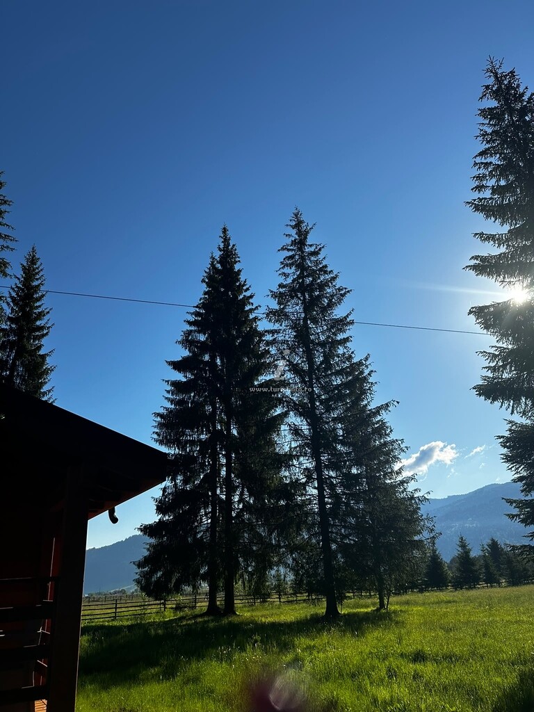 Camere de închiriat Casa cu Cerdac