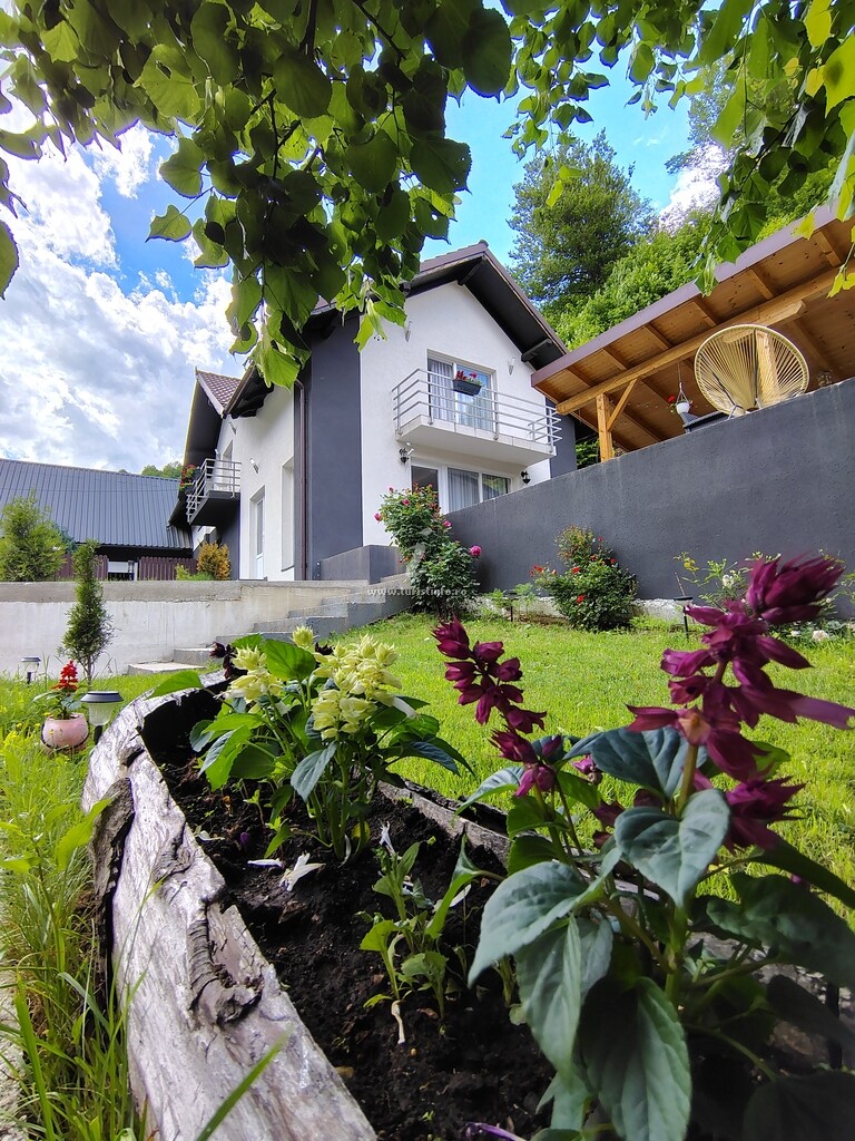 Casa Vibe House Madisson