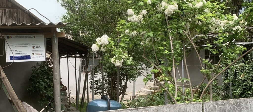 Casa de vacanță Casa Rurală Millavera