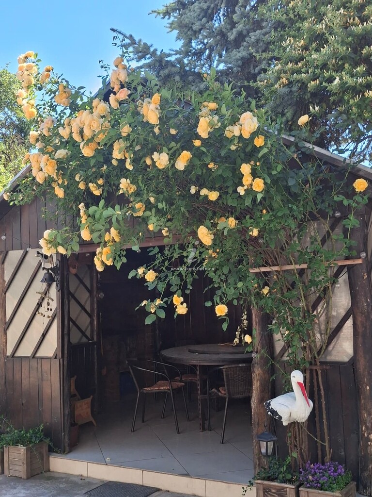 Casa Danei