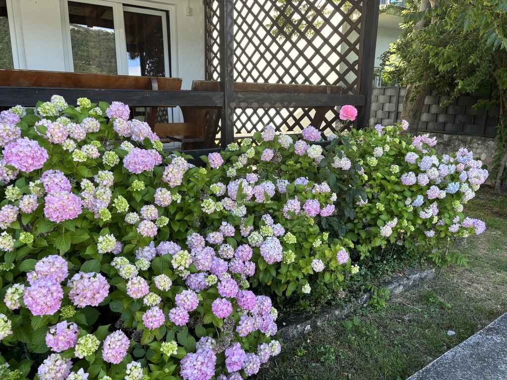 Casa de vacanță Albă