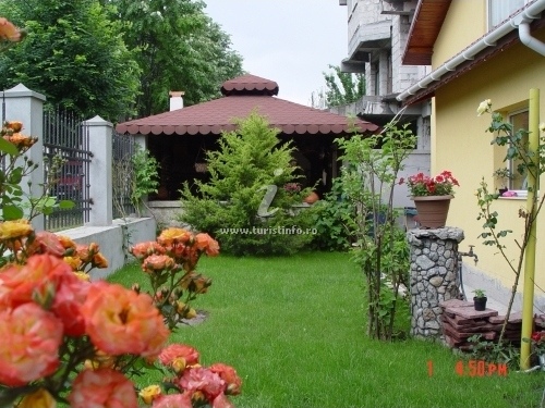 Casa Alessia Eforie Sud Părerile Turiștilor