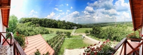 Pensiunea Panorama