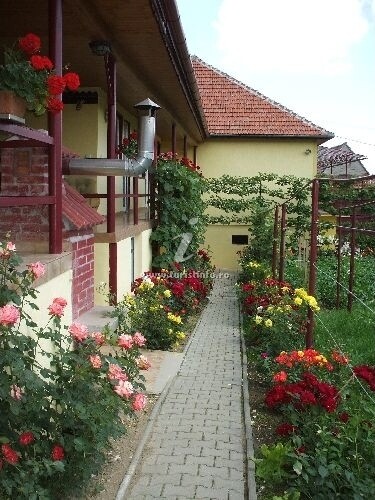 Pensiunea Casa Șerban