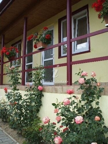 Pensiunea Casa Șerban