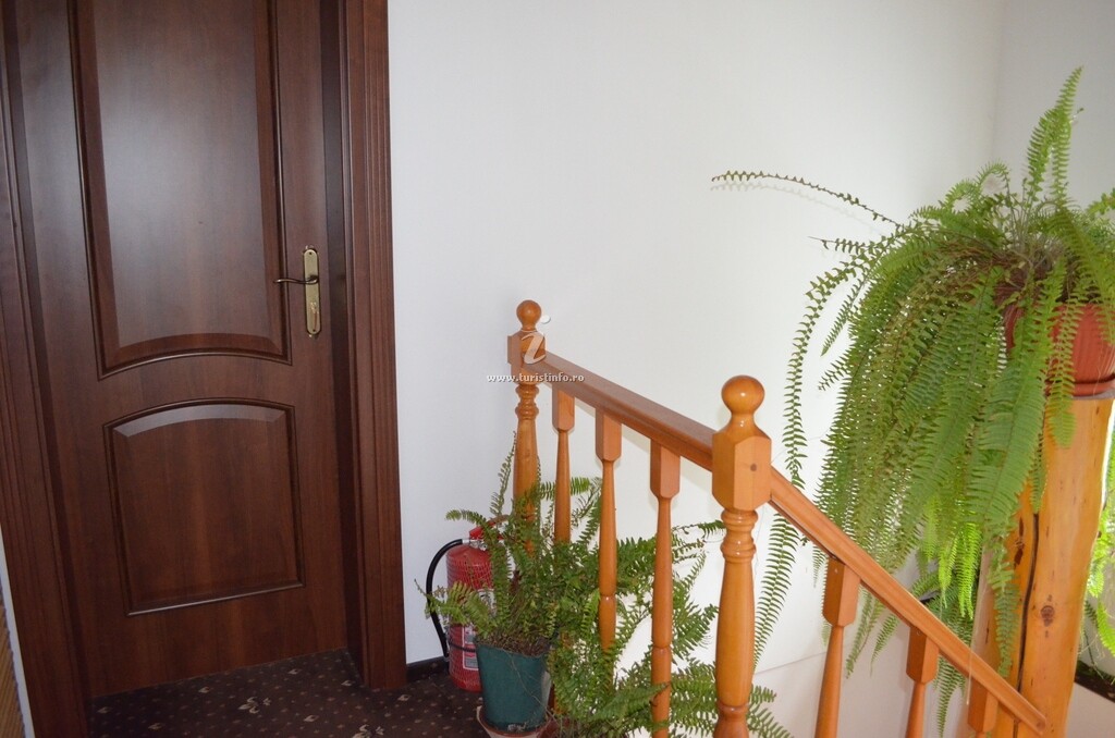 Casa de vacanță Herculane