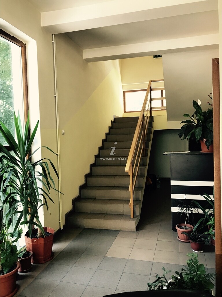 Pensiunea Pinul Negru 2