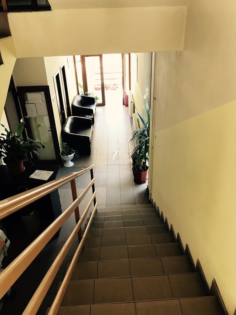 Pensiunea Pinul Negru 2