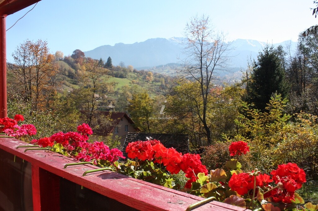 Vila Munții Bucegi