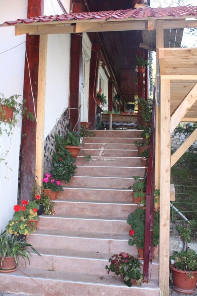 Vila Munții Bucegi
