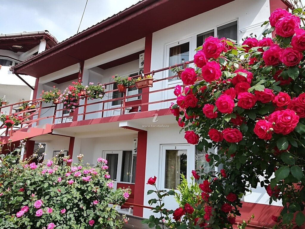 Camere de închiriat Dovi
