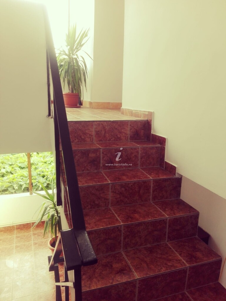 Casa Ambient