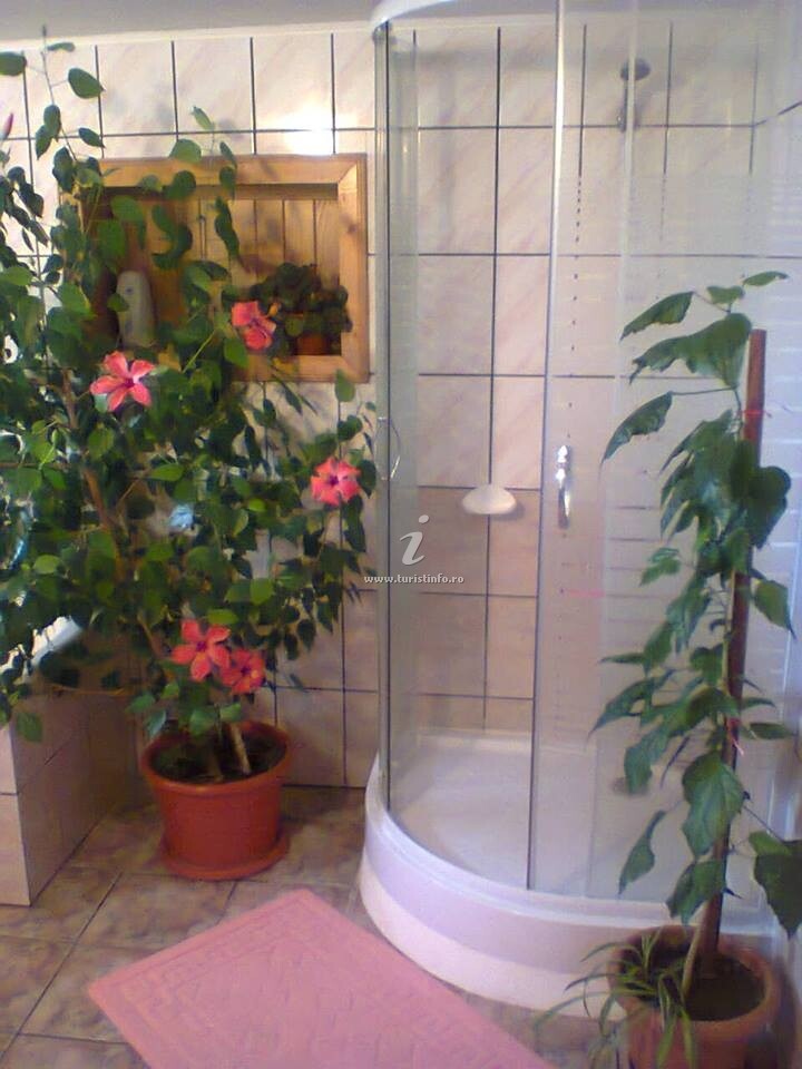 Pensiunea Casa Rodica