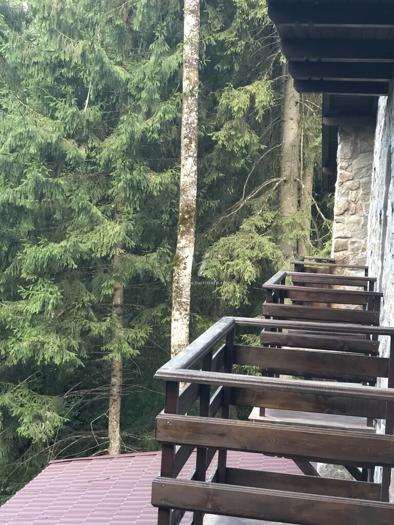 Cabana Zimbru Transfăgărășan