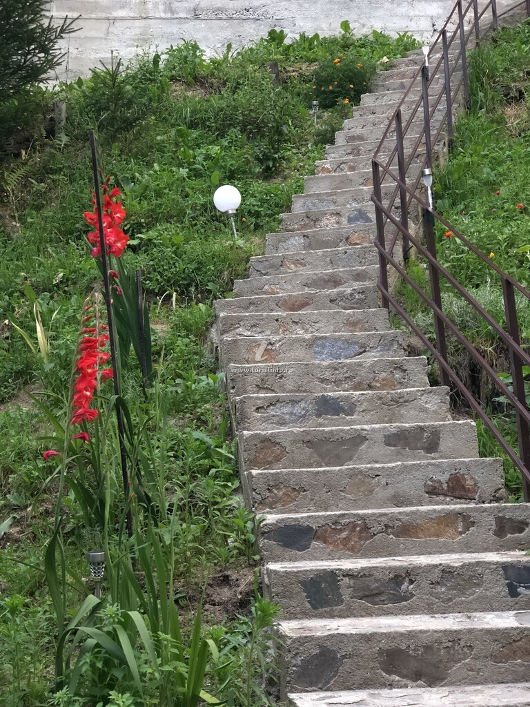 Cabana Zimbru Transfăgărășan