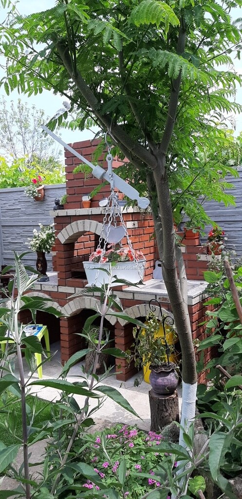 Vila Micul Paradis