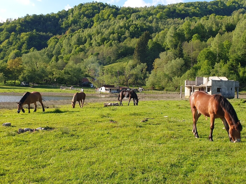 Casa de vacanță Alin