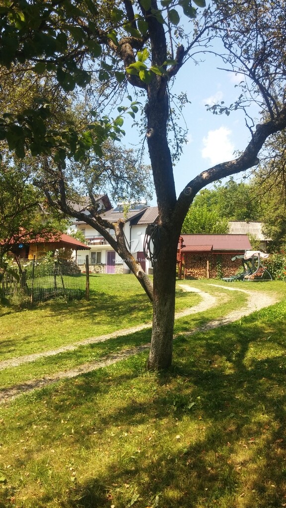 Camere de închiriat Mariana