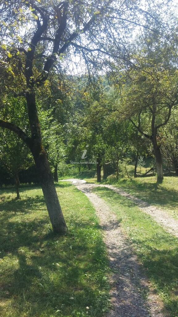Camere de închiriat Mariana