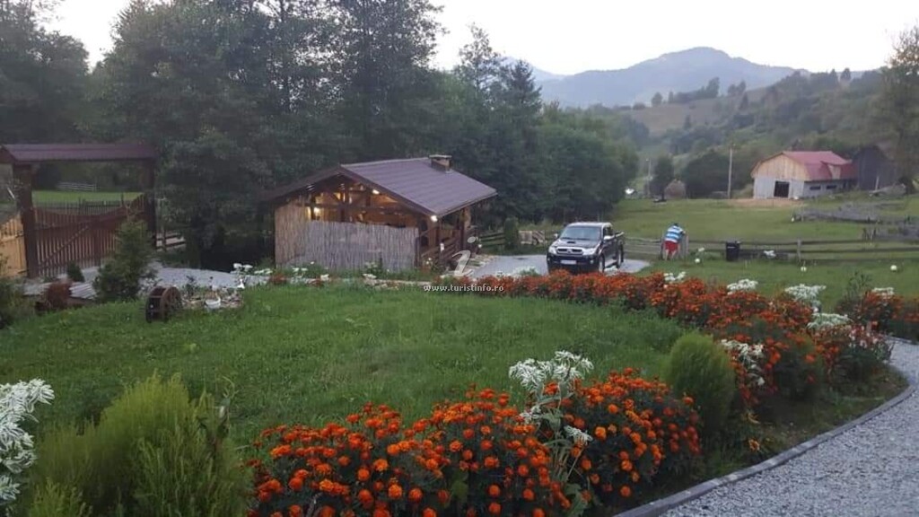 Pensiunea Agroturistică Amalia