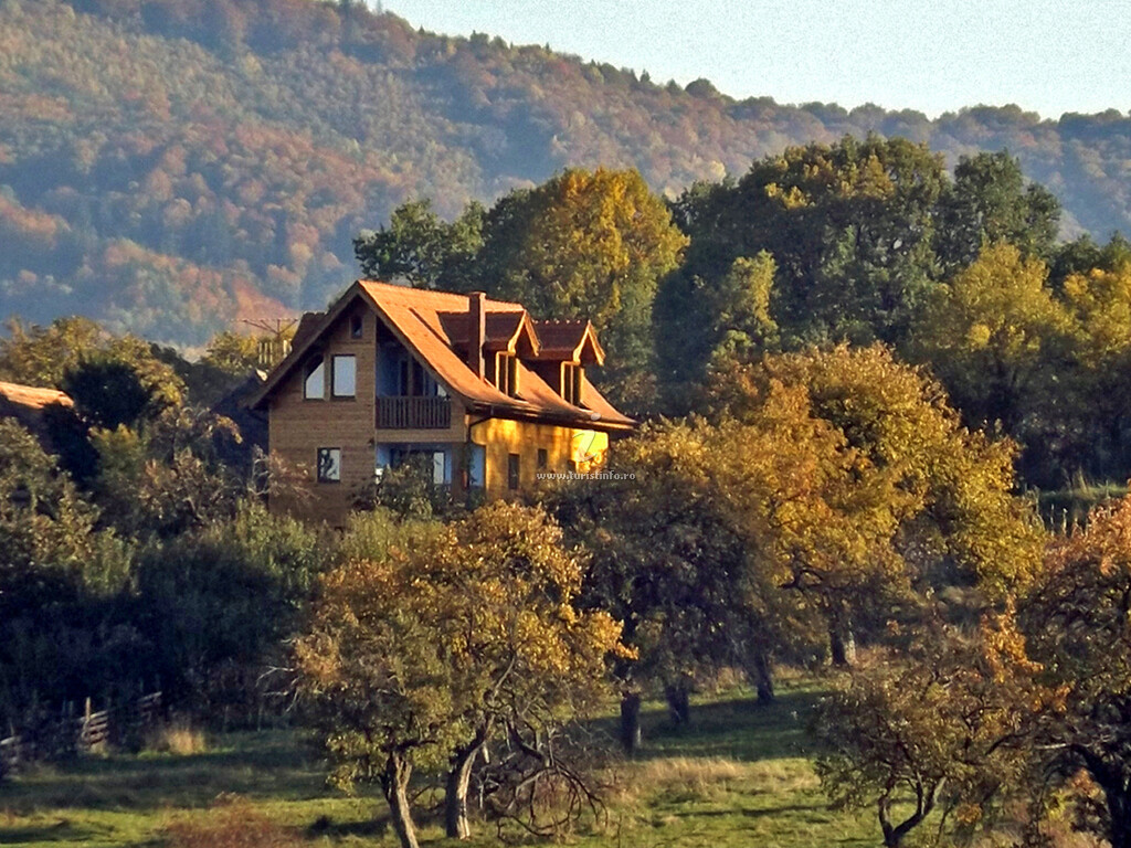 Vila Zollo