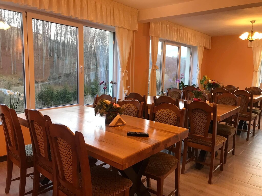 Pensiunea 7 Brazi 2
