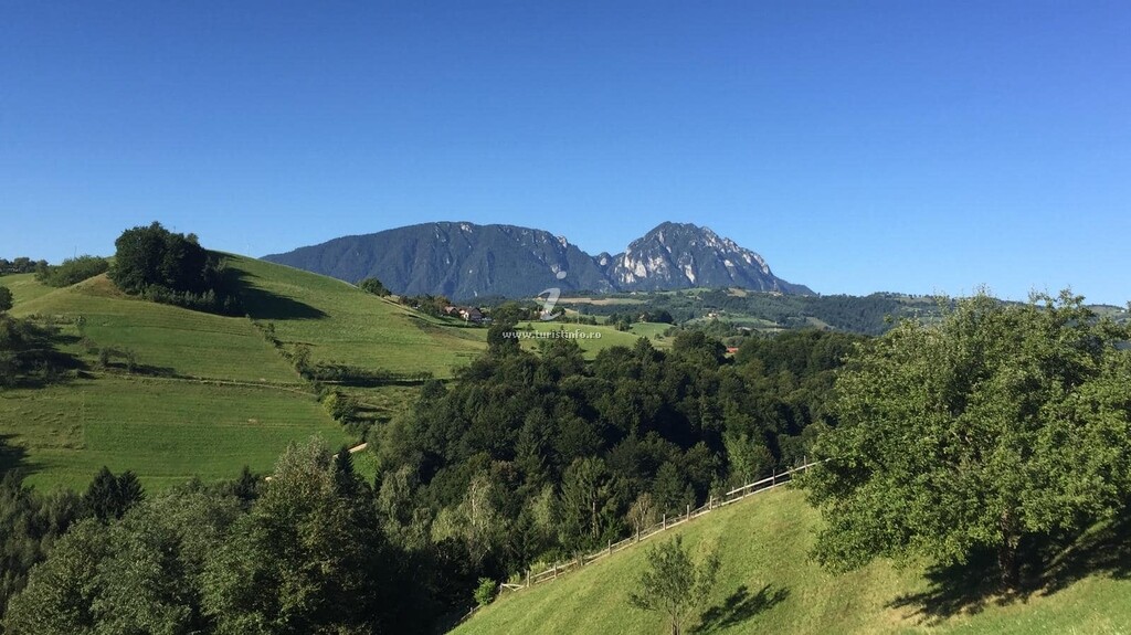 Pensiunea 7 Brazi 2