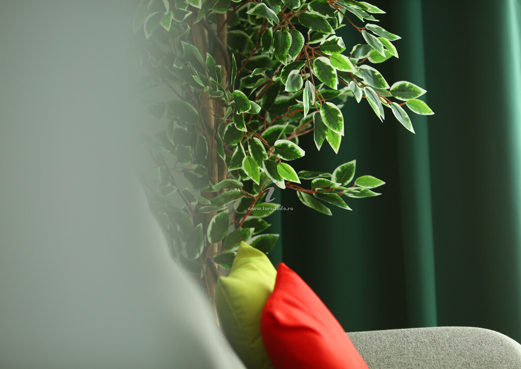 Apartament Mady`s