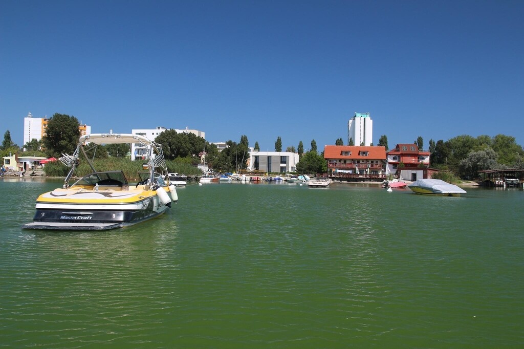 Camere de închiriat Baza Nautică Pinguin