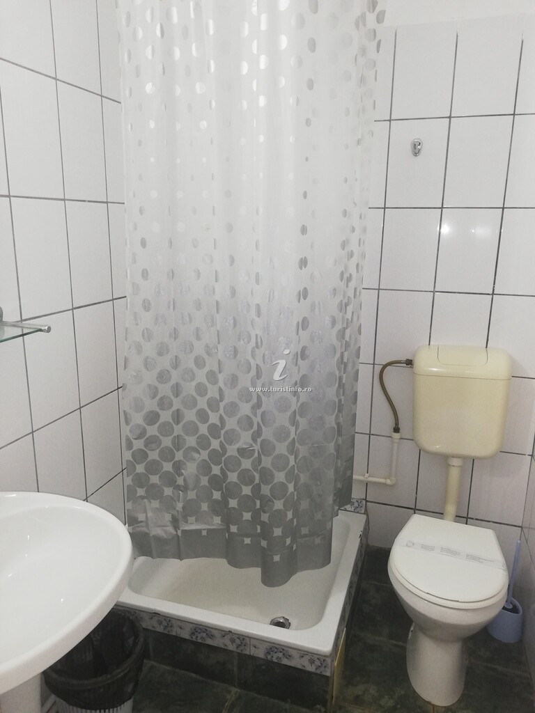 Vila Vlad