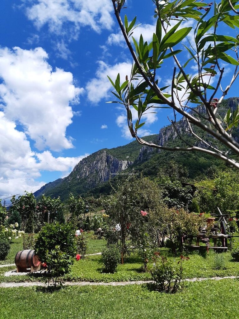 Pensiunea Roua de Munte